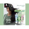 EVA COSMETICS — ALOE EVA STRENGTHENING HAIR OIL REPLACEMENT WITH ALOE VERA 250 ML EVA COSMETICS — ALOE EVA STRENGTHENING HAIR OIL REPLACEMENT WITH ALOE VERA 250 ML